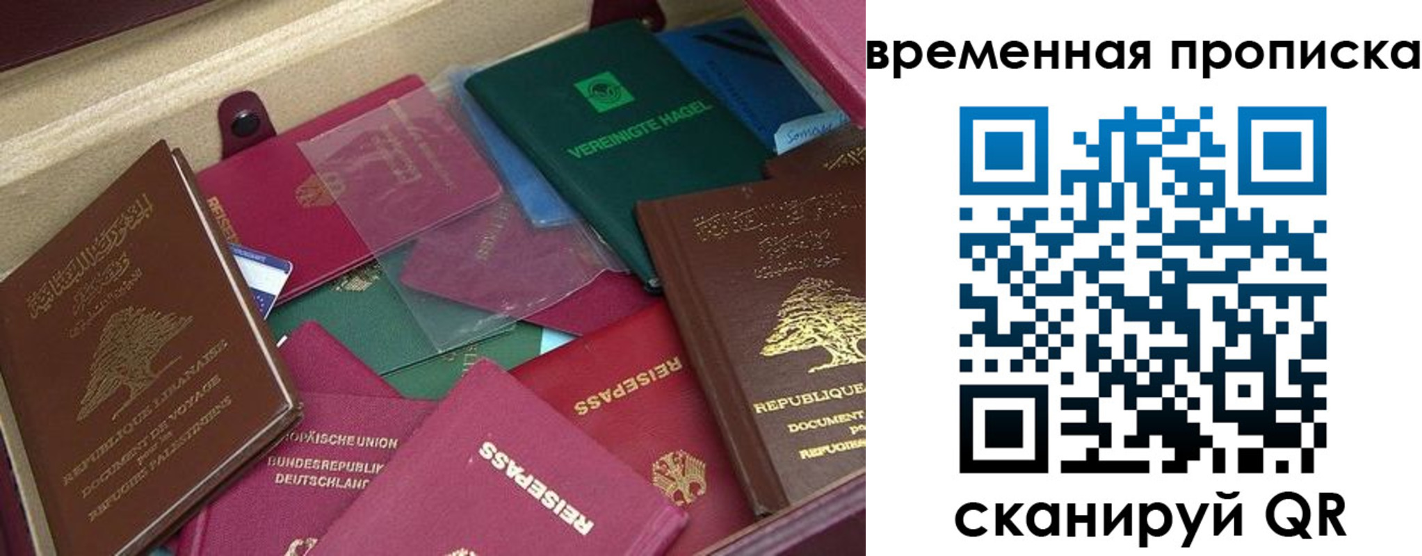прописка в Белгородской области